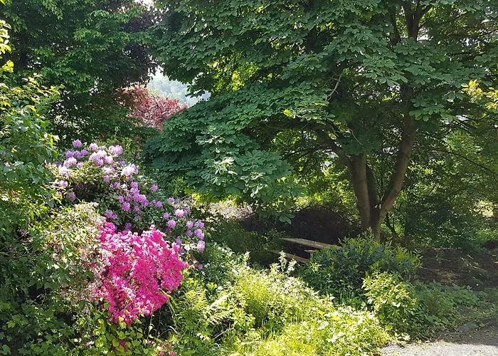 Villa Ferien Fachwerkhaus Olsberg Foto