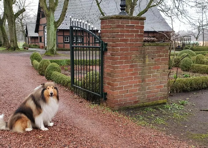 Muensterland Cottage Lengerich photo
