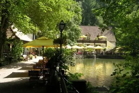 Waldhotel Silbermuehle Horn-Bad Meinberg photo