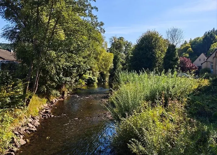 שליידן Waldoase Im Nationalpark Eifel Fuer 7 Gaeste Und Max 2 Hunde In 1A Lage תמונה