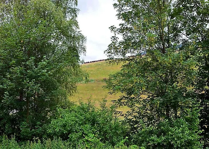 Gemutlicher Ruckzugsort In Olsberg-Elpe fotoğrafı