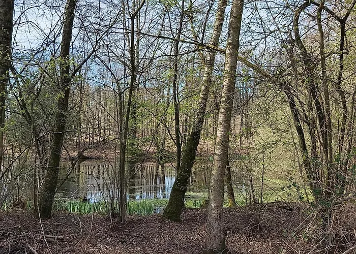 Licht Und Natur, Deine Premium Auszeit Am Wald ヴィールの写真