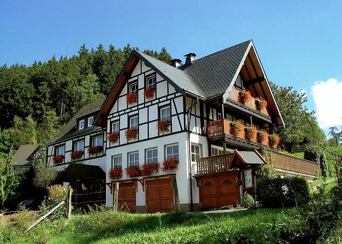 Lauras Landhauspension Medebach photo