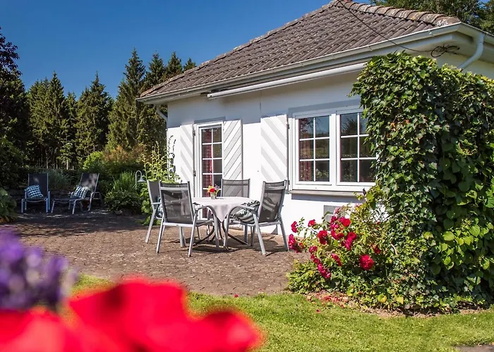 Vila Ferienhaus Waldhaus Bestwig fotorgafie