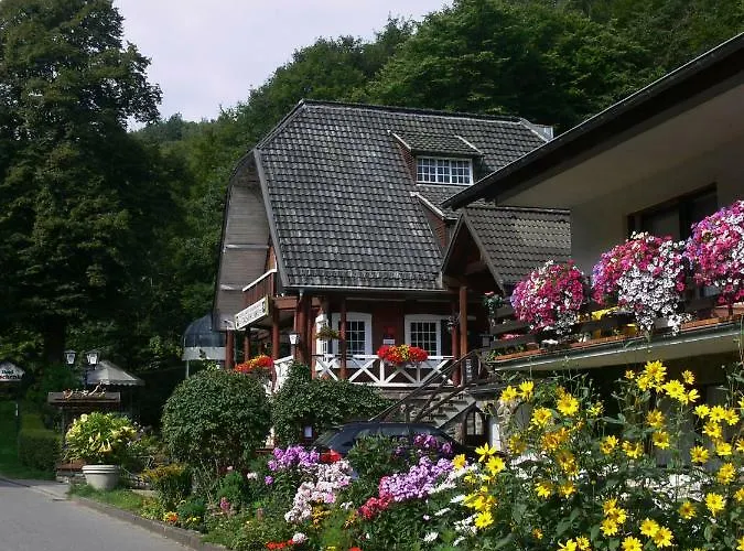 Hotel Talschenke Hurtgenwald photo
